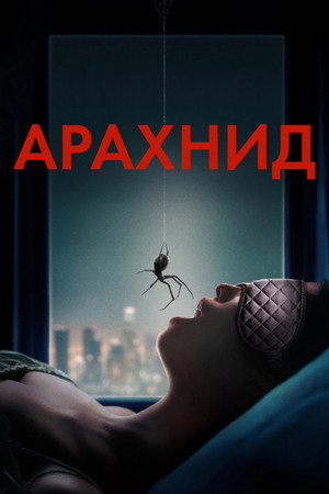 Арахнид